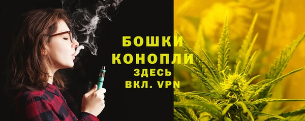 мескалин Осинники