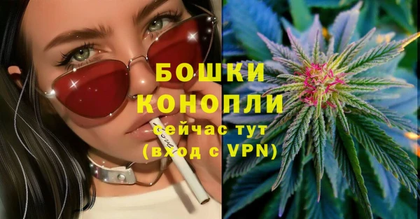 мескалин Осинники